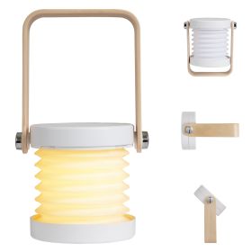 Portable Lantern Lights